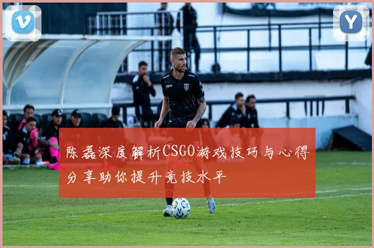 陈磊深度解析CSGO游戏技巧与心得分享助你提升竞技水平